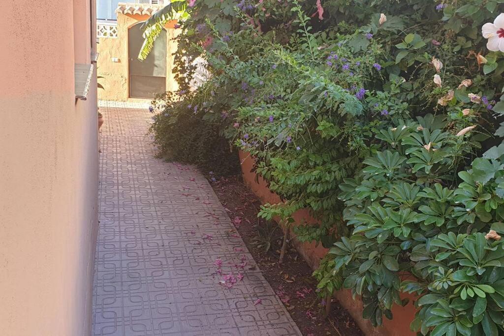 Casa Hurtado De Mendoza Pequena Almunecar Ngoại thất bức ảnh